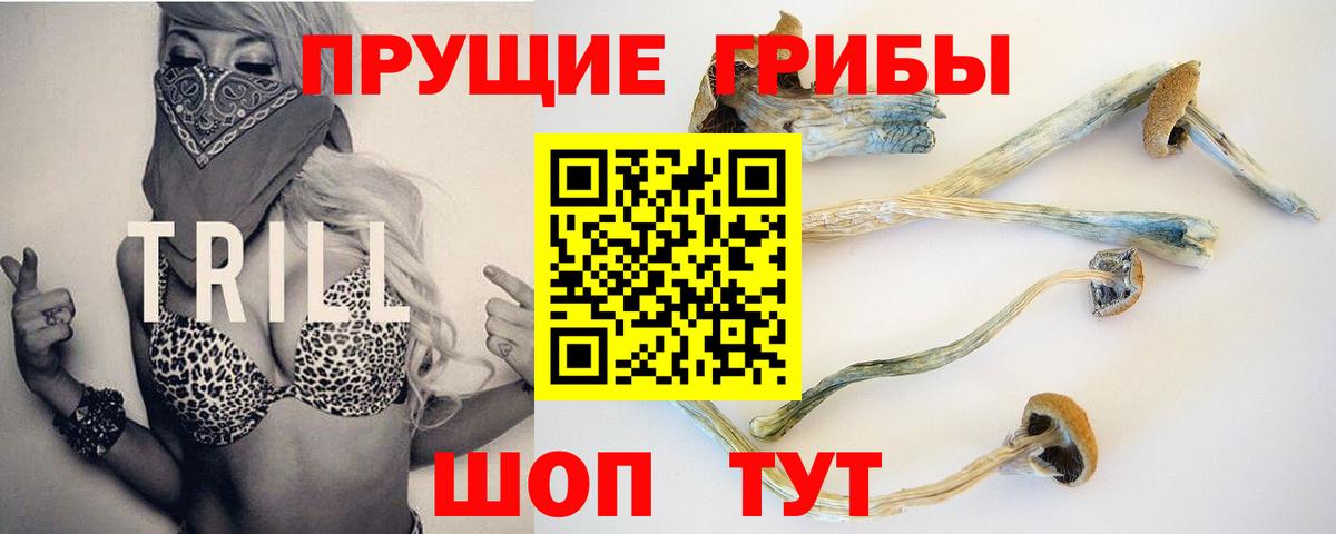 Псилоцибиновые грибы Psilocybine cubensis  Вход с VPN  Конаково  Галлюциногенные грибы MAGIC MUSHROOMS 